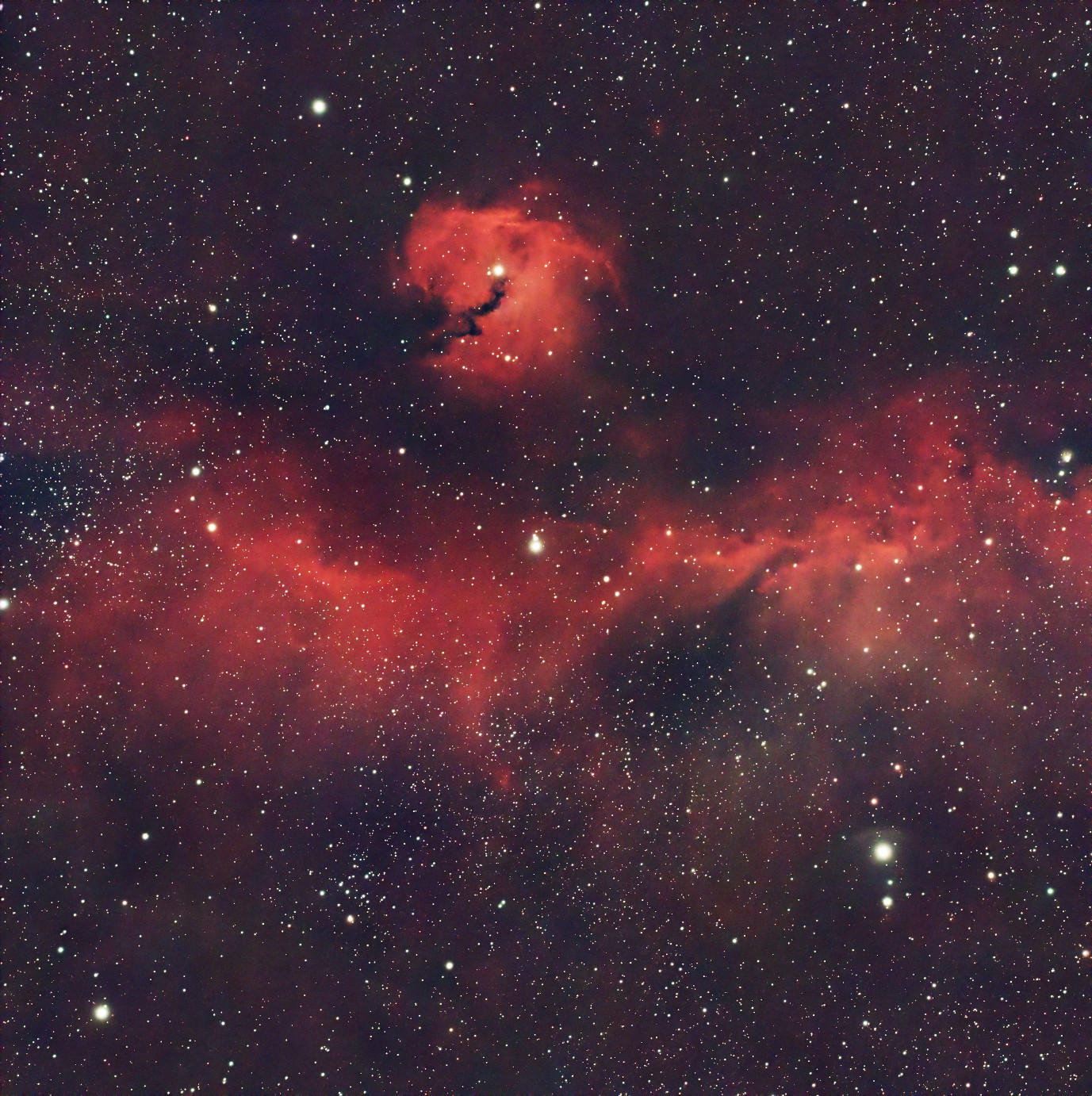 202602 NGC2335 final4 deblur small